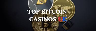 Explore the Thrill of Bitcoin Casinos Explore the Thrill of Bitcoin Casinos